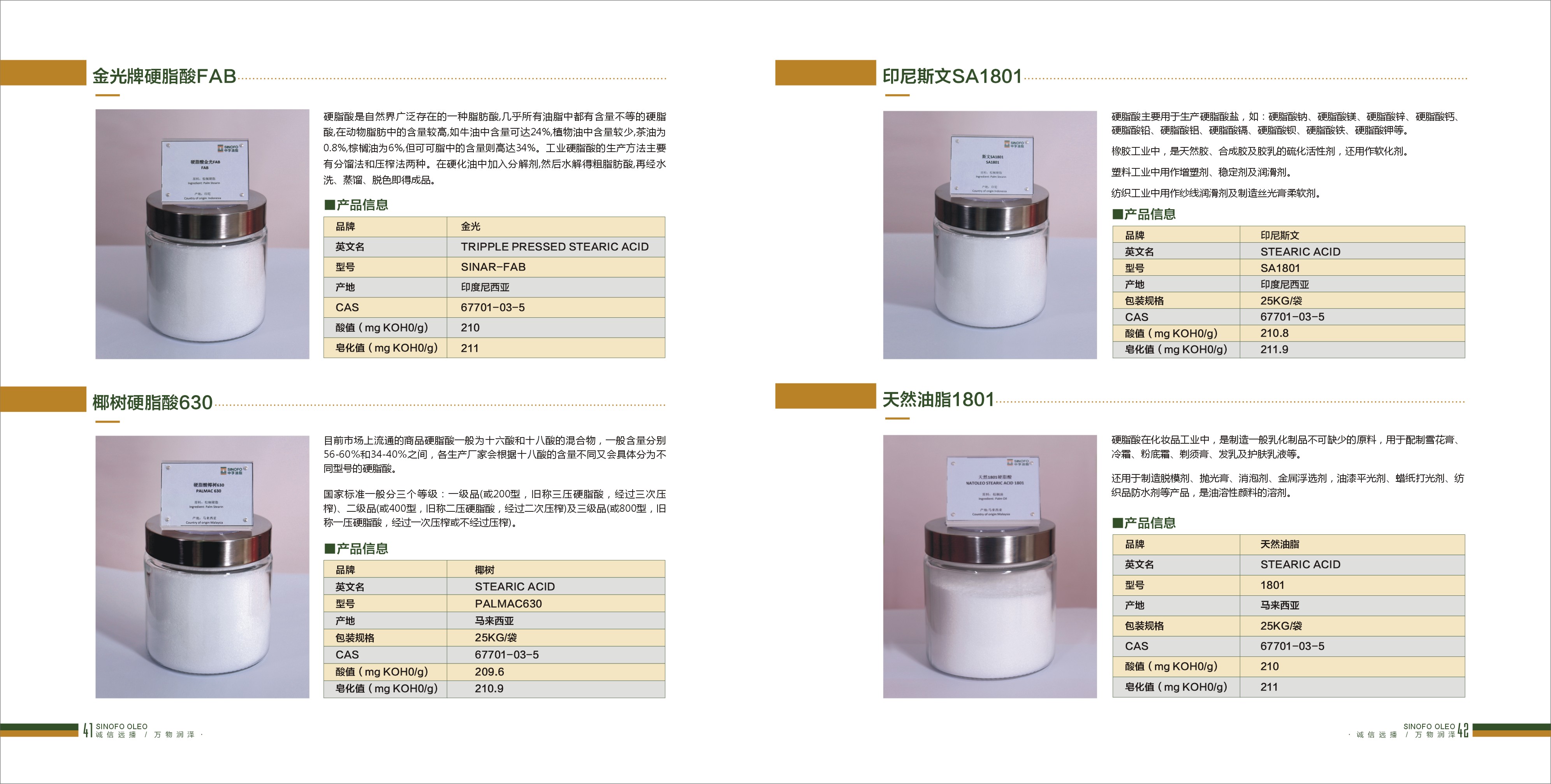 脂肪酸,脂肪酸是什么