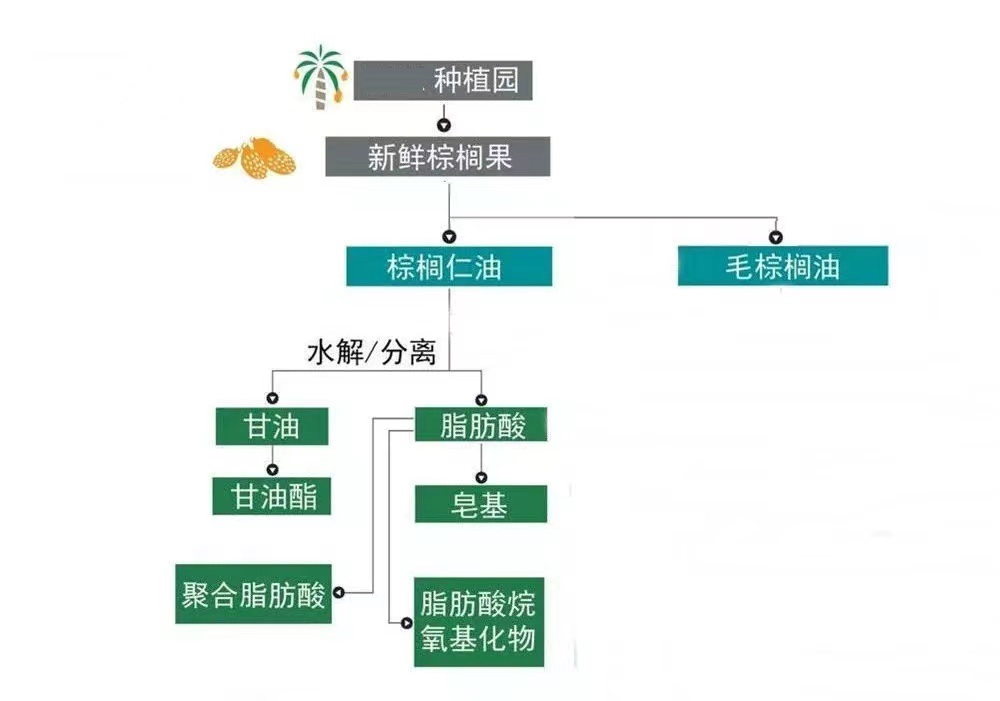 食品级甘油,棕榈油,甘油生产工艺,甘油应用